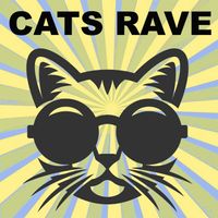Crazy Cat - Cats Rave