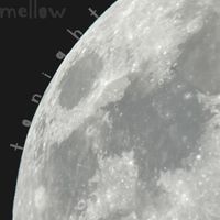 Mellow - tonight