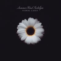 Vishal Casey - Summer Wind Nostalgia