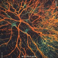 Paul Pentoxide - Microdark, Vol. 19