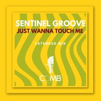 Sentinel Groove - Just Wanna Touch Me (Extended Mix)