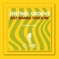 Sentinel Groove - Just Wanna Touch Me (Radio Edit)