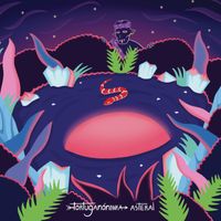 tortuganónima - Asteral
