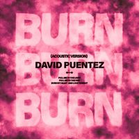 David Puentez - Burn (Acoustic Version)
