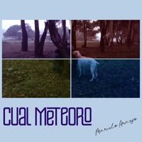 Marcelo Araujo - Cual Meteoro