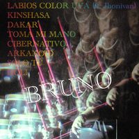 BRUNO - Cibernativo