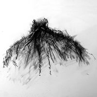 Mark Mallman - I Know The Mothman