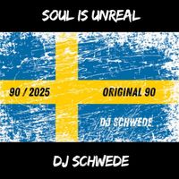 DJ Schwede - Soul Is Unreal (Original Version)