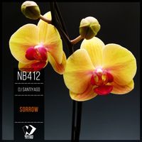 Dj SantiyaGO - Sorrow