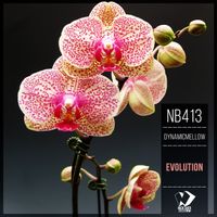 DynamicMellow - Evolution