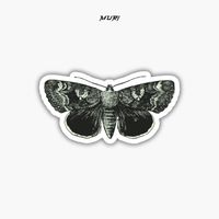 MURI - Frontline