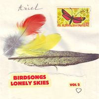 Ariel Kalma - Birdsongs Lonely Skies, Vol. 2