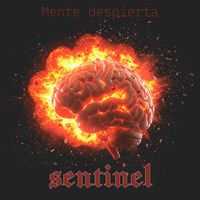 Sentinel - Mente Despierta