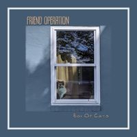 Friend Operation - Box of Cats