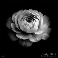 Seeker (COL) - Sentido Dimensional
