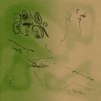 Aponogeton - A Place of Solace