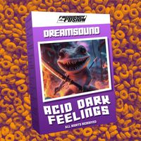Dreamsound - Acid Dark Felings