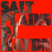 DJ HAYDN - SALT PLAINS / Tell Me How U Like It