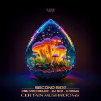 Second Side - Certain Mushrooms