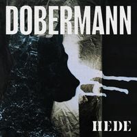 HEDE - Dobermann
