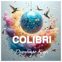 Downtempo Kings - Colibri