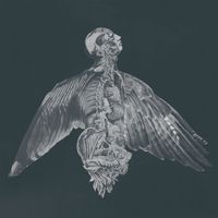 øjeRum - Til Vinden I Dine Øjne ((reduction))