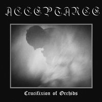 Acceptance - Crucifixion of Orchids