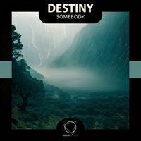 Destiny - Somebody