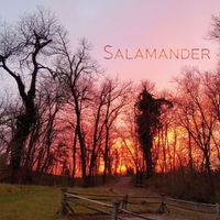 Salamander - Salamander