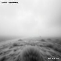 coaxer - Evening Dub