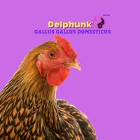 Delphunk - Gallus gallus domesticus