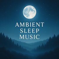 James Newton - Ambient Sleep Music