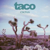 taco - cactus