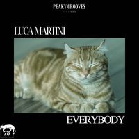 Luca Martini - Everybody