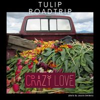 Crazy Love - Tulip Roadtrip