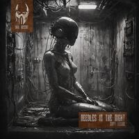Needles in the Night - Soft Tissue