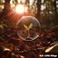 ELB - Little Things