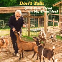Chris Stamey - Don't Talk (Put Your Head on My Shoulder)