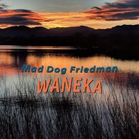 Mad Dog Friedman - Waneka