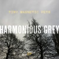 Tiny Magnetic Pets - Harmonious Grey