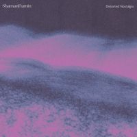 ShamanDamin - Distorted Nostalgia