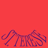 Astronauts, etc. - St. Terese