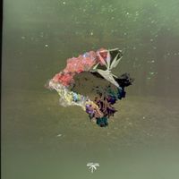 Arutani - Ordinary Thoughts
