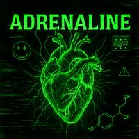 DDK - Adrenaline