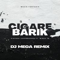 Siavash Javanbakhsh - Cigare Barik (Remix)