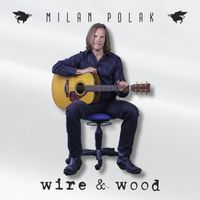 Milan Polak - Wire & Wood (Acoustic)