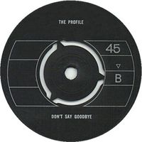 The Profile - Don't Say Goodbye