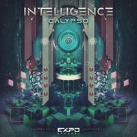 Intelligence - Calypso
