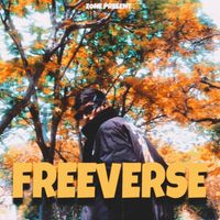 ZONE - FREEVERSE