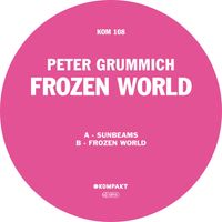 Peter Grummich - Frozen World